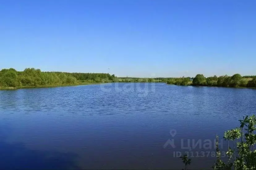 Участок в Московская область, Раменский городской округ, пос. ... - Фото 1