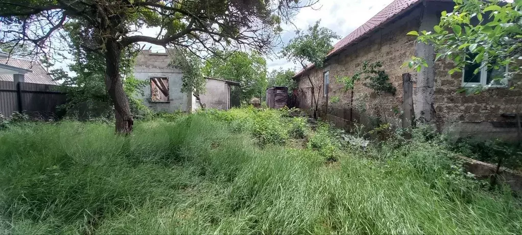 Участок 3 сот. (СНТ, ДНП) - Фото 1