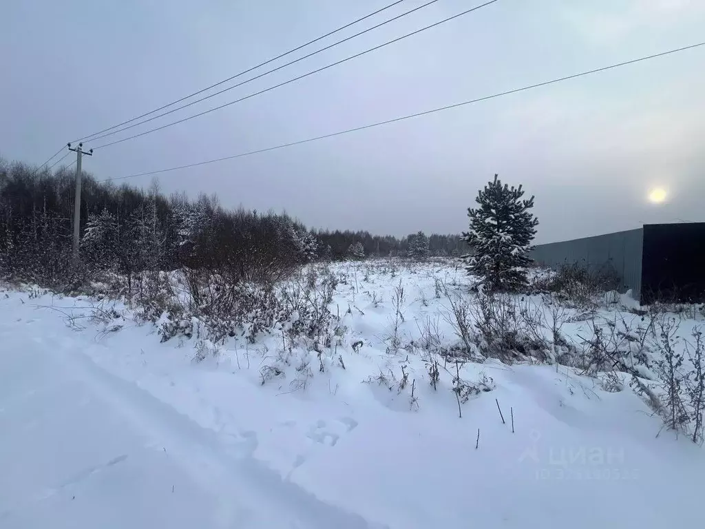 Участок в Свердловская область, Белоярский муниципальный округ  (10.0 ... - Фото 1