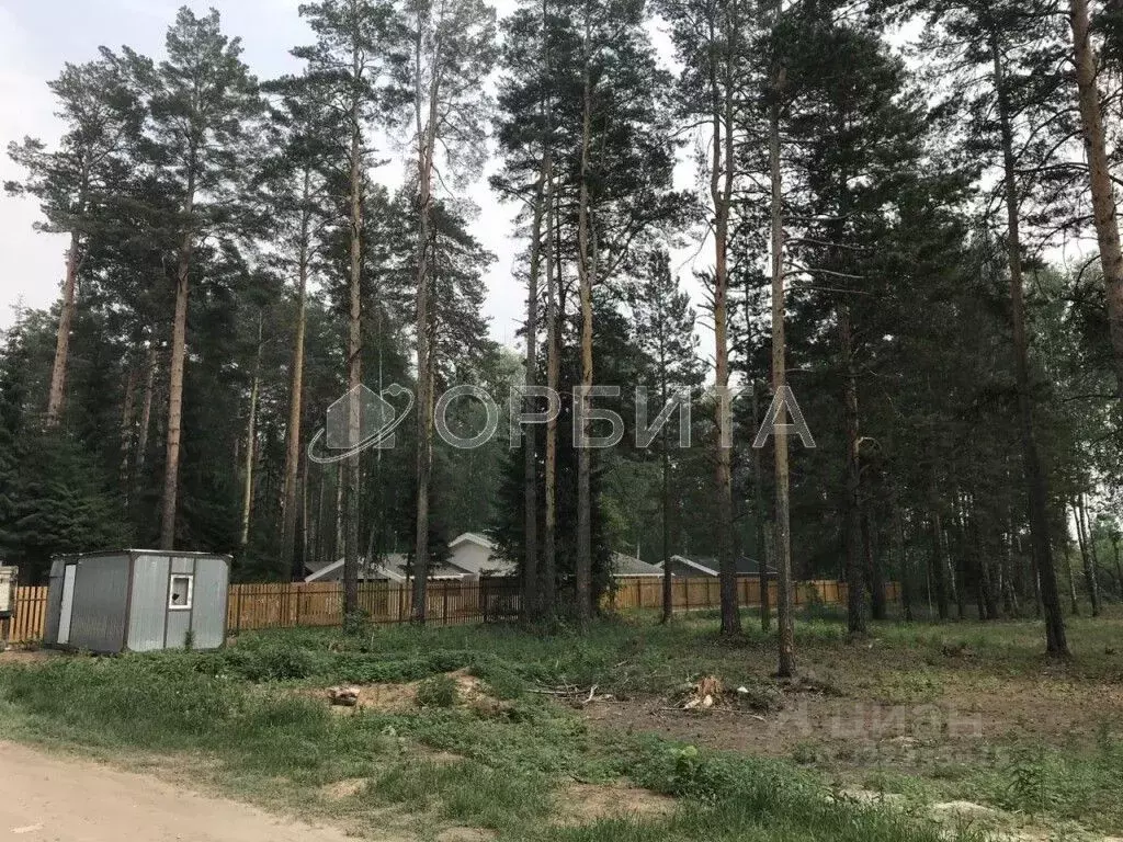 Участок в Тюменская область, Тюменский муниципальный округ, с. ... - Фото 2