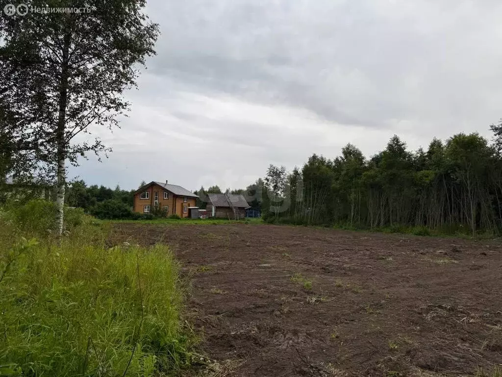 Участок в Вологодская область, Череповецкий муниципальный округ, ... - Фото 2