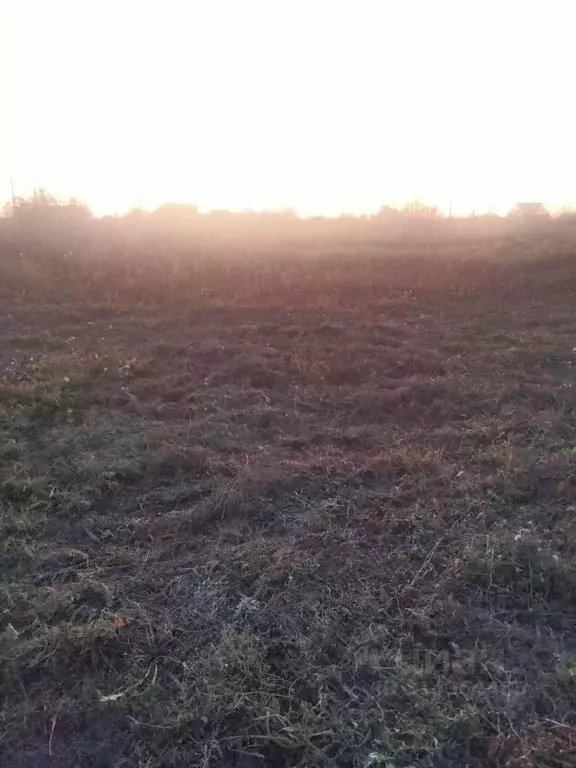 Участок в Алтайский край, Первомайский район, с. Березовка ул. Гоголя ... - Фото 2