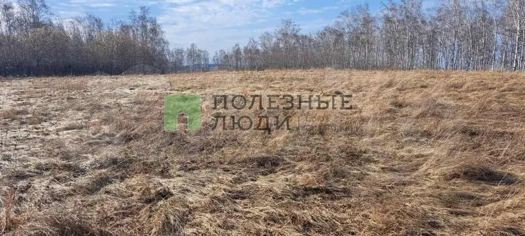 Участок 16 сот. (ИЖС) - Фото 1