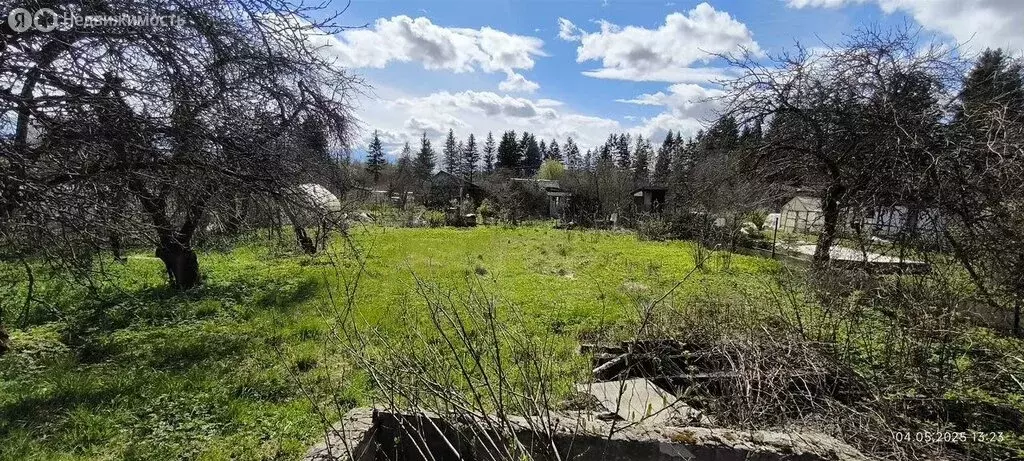 Участок в Ленинградская область, Гатчинский муниципальный округ, СТ ... - Фото 2