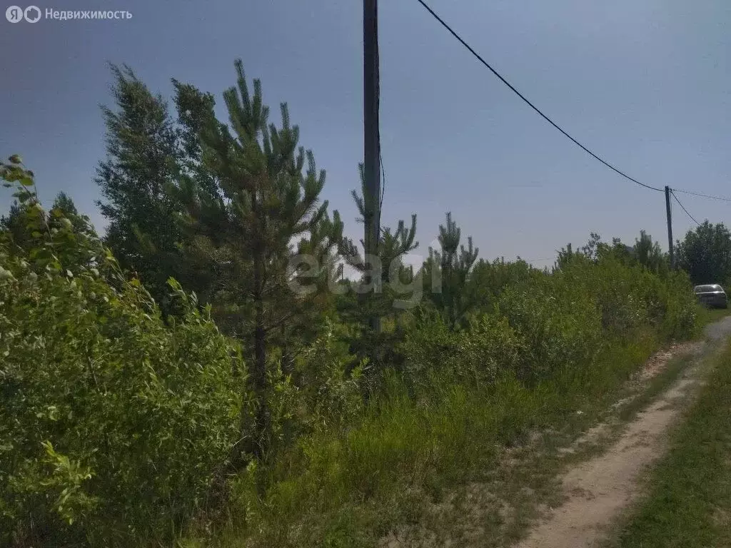 Участок в Тюменский муниципальный округ, СНТ Лоза, 11-я улица (8 м) - Фото 1