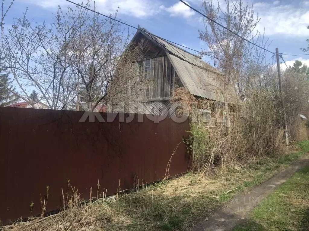 Участок в Новосибирская область, Колыванский район, Домостроитель СНТ ... - Фото 1