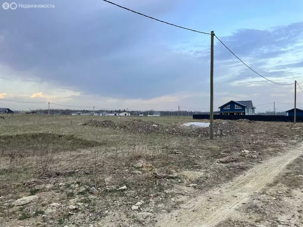 Участок в Ломоносовский район, Оржицкое сельское поселение, деревня ... - Фото 2