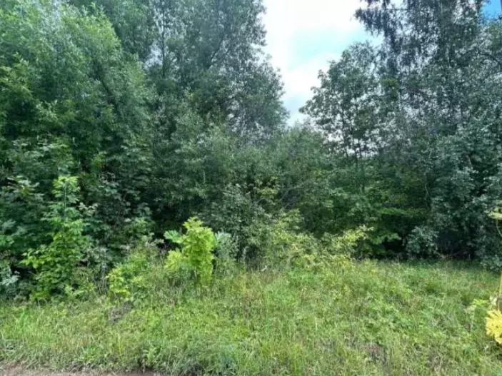 Участок в Московская область, Коломна городской округ, д. Каблучки  ... - Фото 1