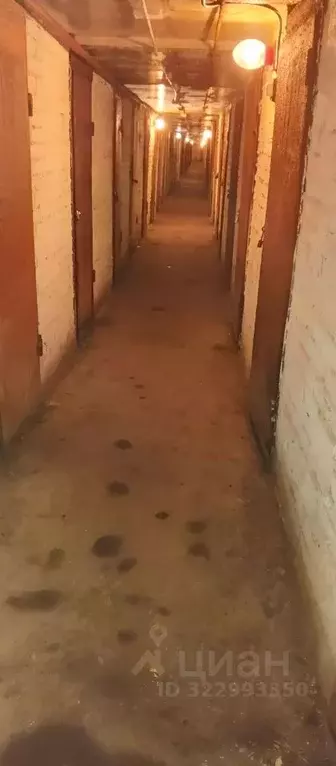 Гараж в Свердловская область, Екатеринбург ул. Автомагистральная (4 м) - Фото 1