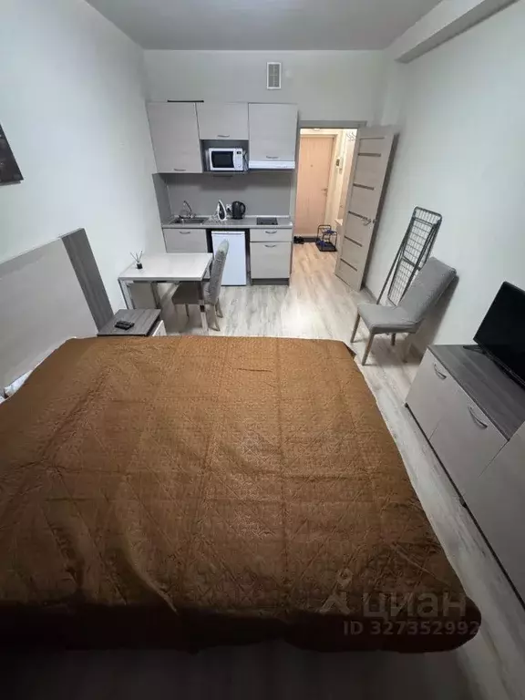 Студия Санкт-Петербург Пулковское ш., 14Е (25.0 м) - Фото 2