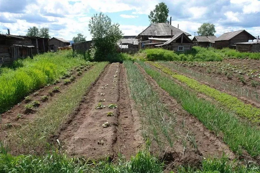 Дом в Тюменская область, Ялуторовский район, д. Авазбакеева ул. ... - Фото 0