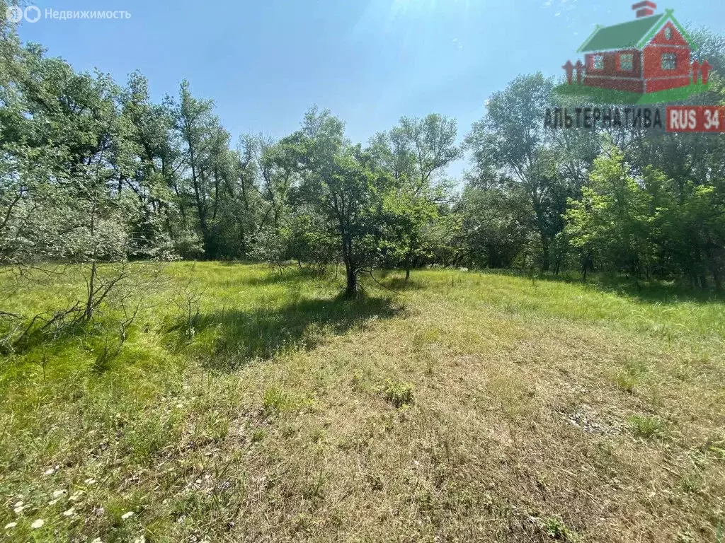 Участок в Волгоград (15 м) - Фото 1