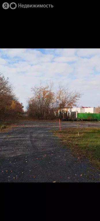 Участок в Кулешовка, Абрикосовая улица (6 м) - Фото 1