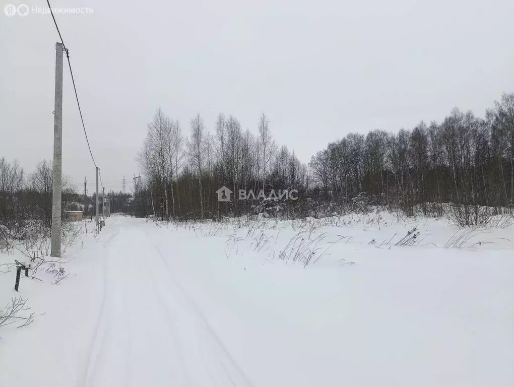 Участок в Суздальский район, муниципальное образование ... - Фото 1