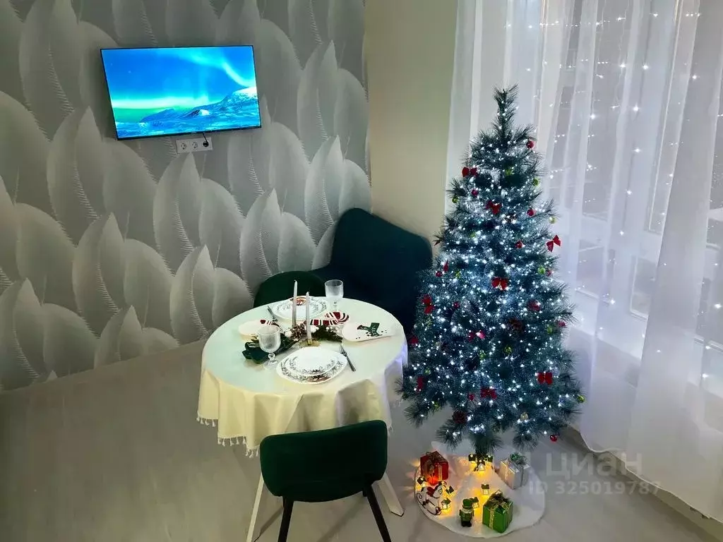 Студия Карелия, Сортавала Советская ул., 5 (21.0 м) - Фото 2