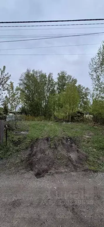 Участок в Новосибирская область, Коченевский район, Витязь садовое ... - Фото 2