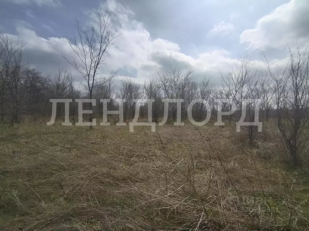 Участок в Ростовская область, Родионово-Несветайский район, Волошино ... - Фото 1