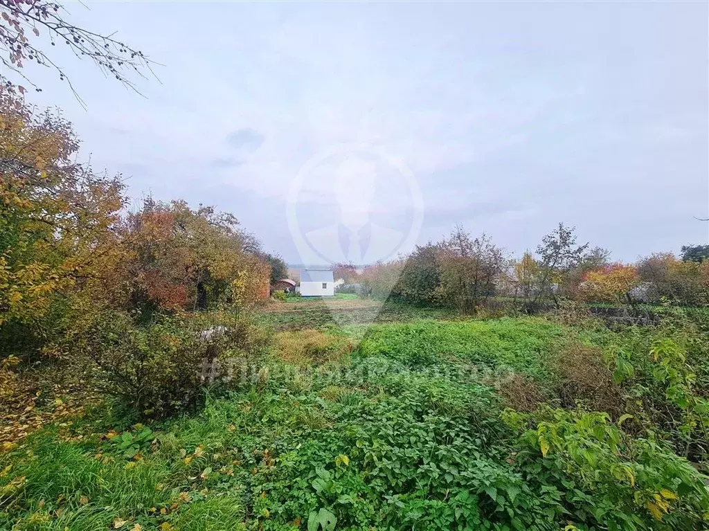 Участок в Рязанская область, Рязанский муниципальный округ, с. ... - Фото 2