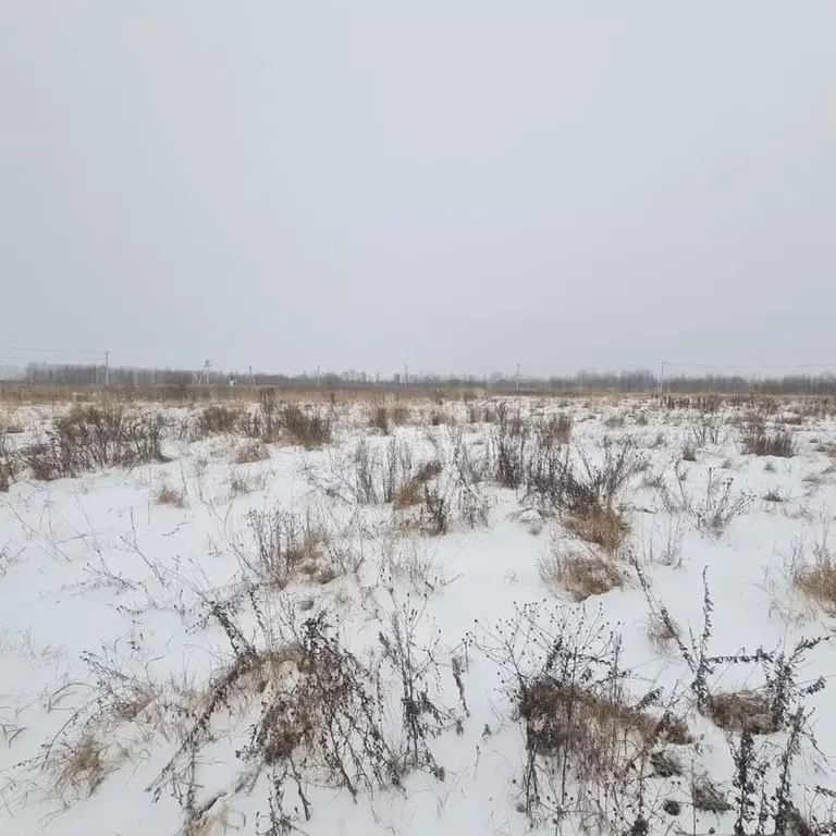 Участок в Ярославская область, Некрасовское рп  (15.0 сот.) - Фото 1