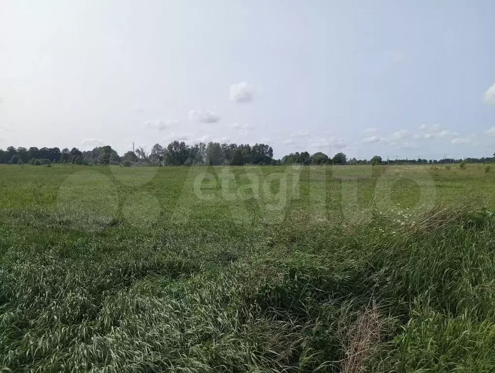 Участок 8 сот. (личное подсобное хозяйство (лпх)) - Фото 0