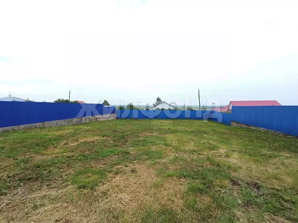 Участок в Новосибирская область, Колывань рп ул. Фрунзе (5.0 сот.) - Фото 2