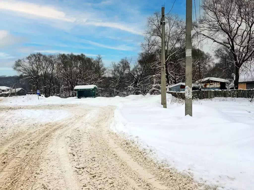 Участок в Московская область, Домодедово городской округ, пос. ... - Фото 1