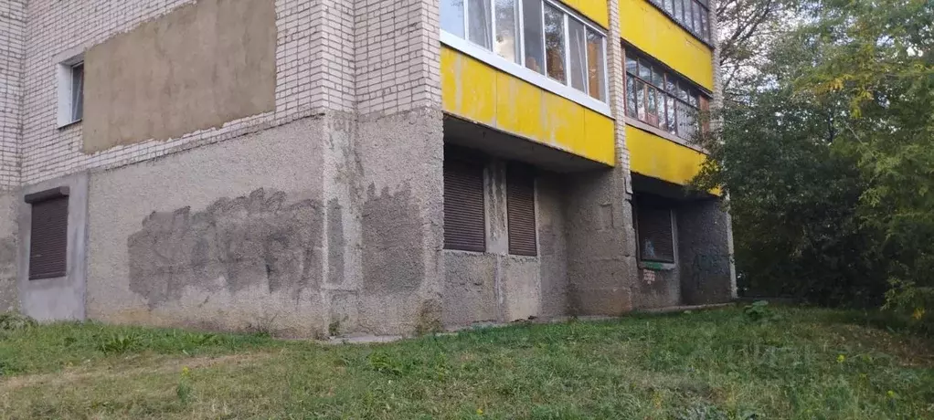 Помещение свободного назначения в Орловская область, Орел ул. Льва ... - Фото 2