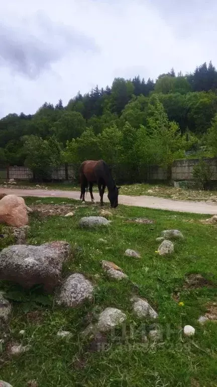 1-к кв. Карачаево-Черкесия, Теберда Карачаевский городской округ, ... - Фото 1