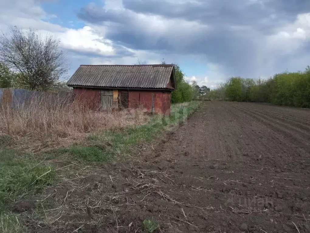 Участок в Амурская область, Ивановский муниципальный округ, с. ... - Фото 1