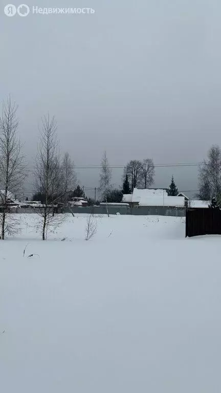 Участок в Орехово-Зуевский городской округ, деревня Селиваниха (15 м) - Фото 1