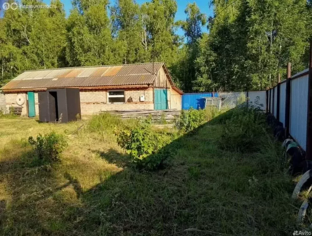 Участок в Челябинская область, Пластовский муниципальный округ, село ... - Фото 2