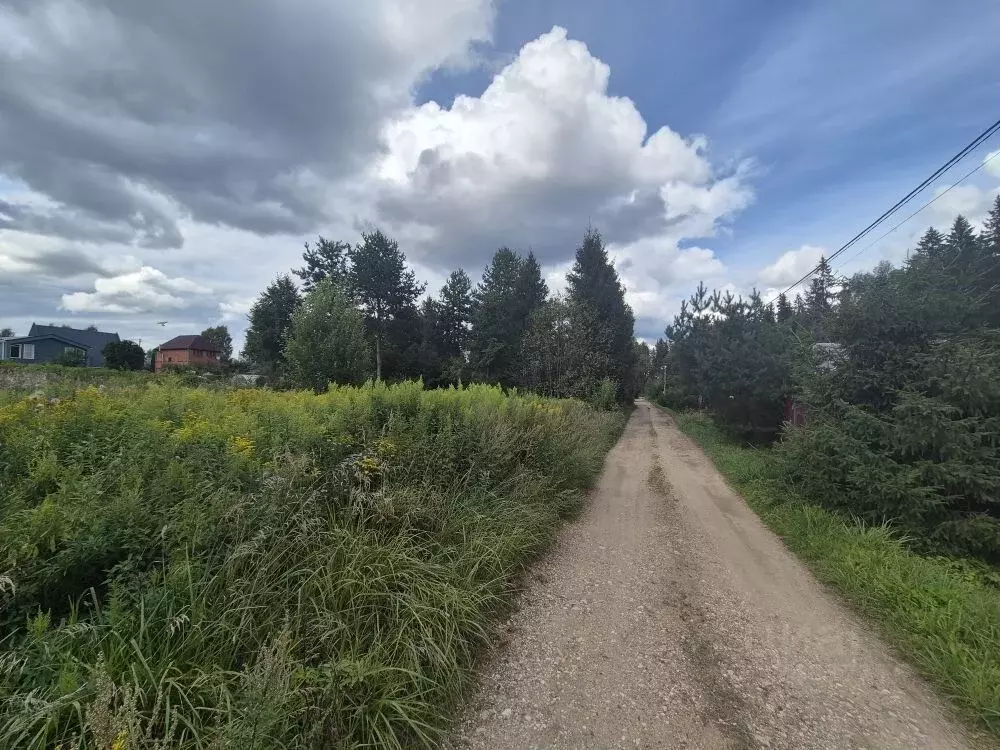 Участок в Московская область, Рузский муниципальный округ, Доваторовец ... - Фото 2