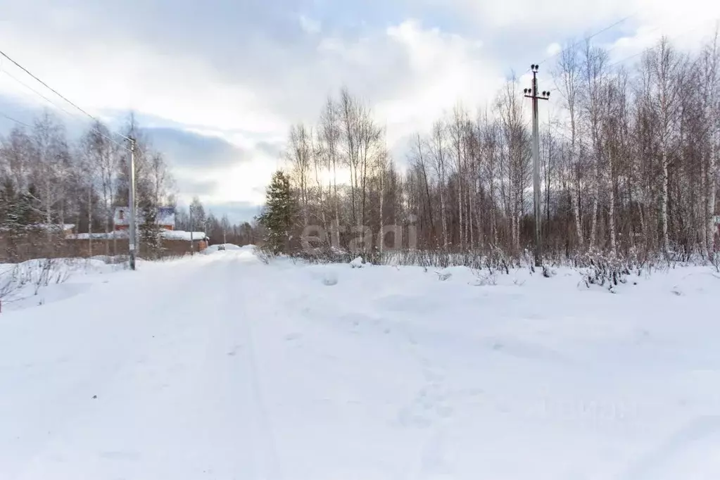 Участок в Тюменская область, Тобольский район, Малозоркальцевское ... - Фото 1