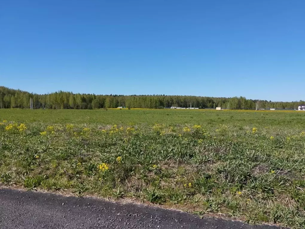 Участок в Московская область, Домодедово городской округ, с. Успенское ... - Фото 1