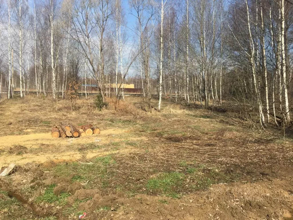 Участок в Московская область, Пушкинский городской округ, д. Могильцы  ... - Фото 0