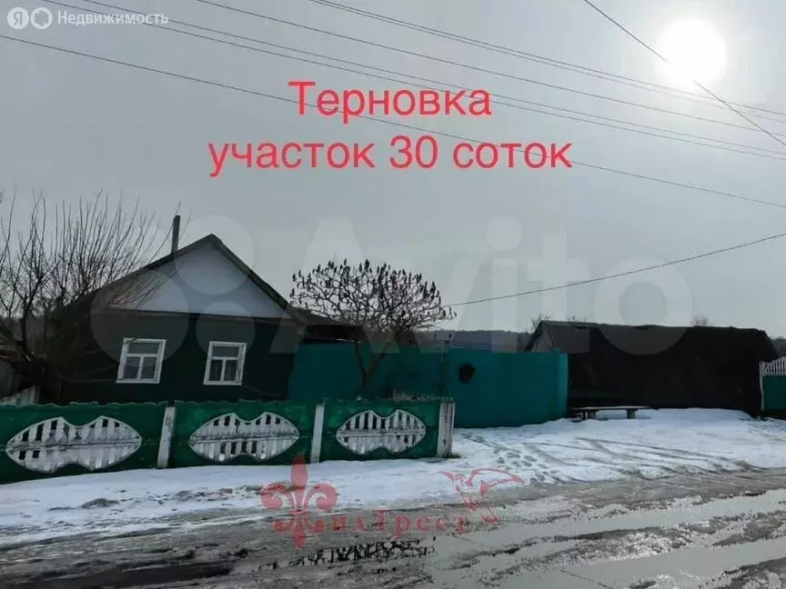 Дом в село Терновка, Южная улица, 49 (40 м) - Фото 1