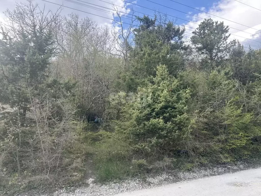 Участок в Краснодарский край, Новороссийск городской округ, с. Широкая ... - Фото 1