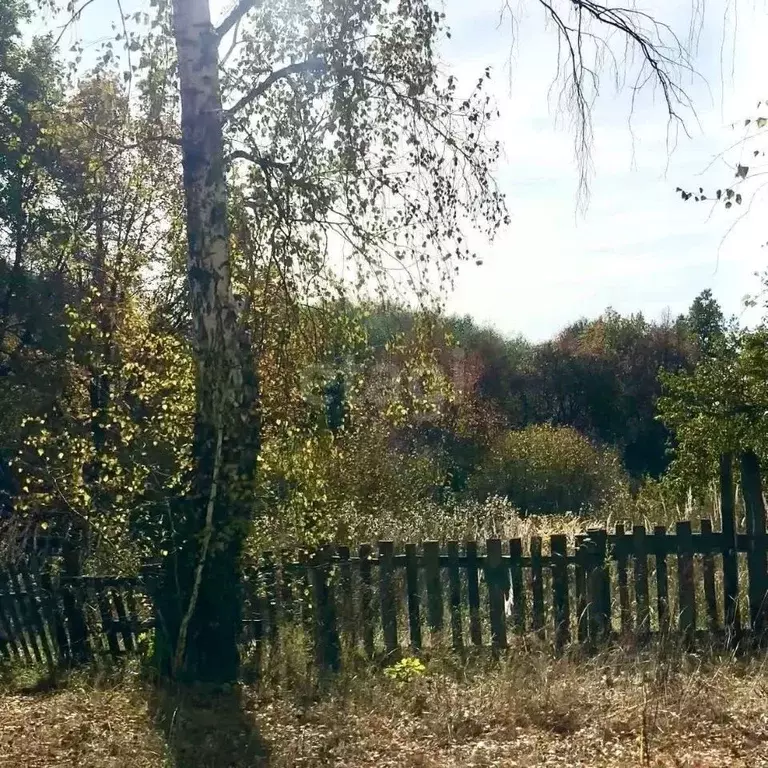 Дом в Мордовия, Лямбирский район, Скрябинское с/пос, пос. Пиксаур ул. ... - Фото 1