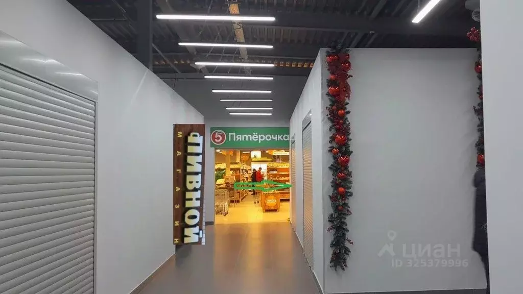 Помещение свободного назначения в Москва д. Десна, ул. Центральная, 1Б ... - Фото 1