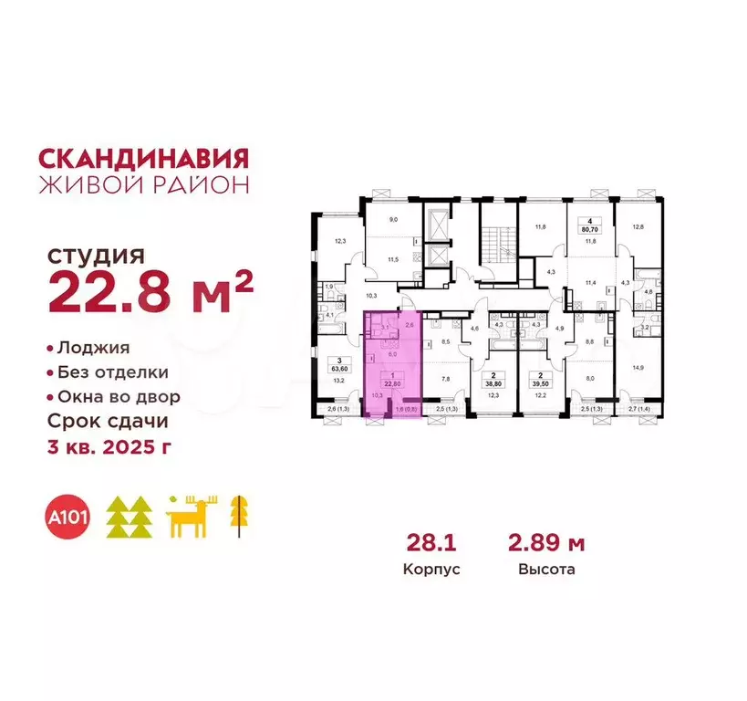 Квартира-студия, 22,8 м, 13/16 эт. - Фото 1