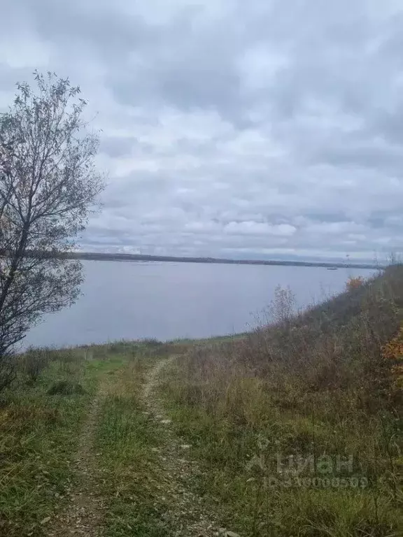 Участок в Ярославская область, Рыбинский муниципальный округ, д. ... - Фото 2