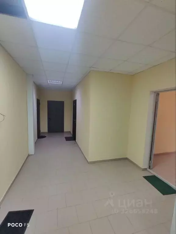 Студия Московская область, Истра муниципальный округ, д. Высоково ... - Фото 1