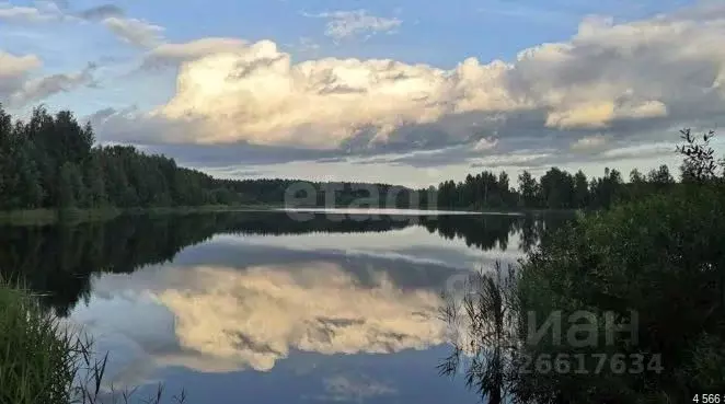 Участок в Ярославская область, Ярославский муниципальный округ, ... - Фото 2