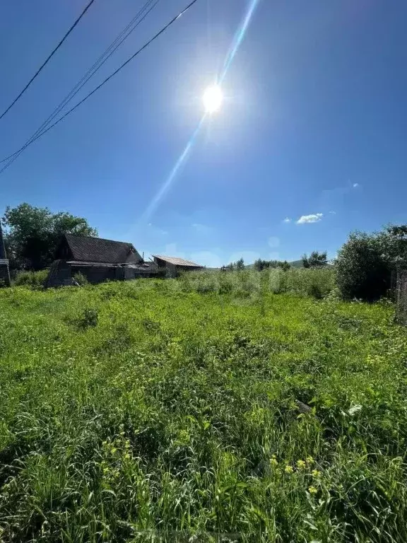 Участок в Алтай, Майминский район, с. Подгорное Набережная ул. (16.0 ... - Фото 1