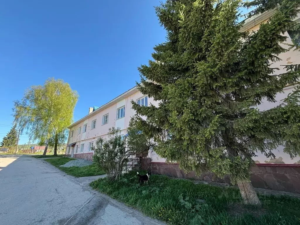1-к кв. Башкортостан, Белорецк ул. В. Блюхера, 115 (34.3 м) - Фото 1
