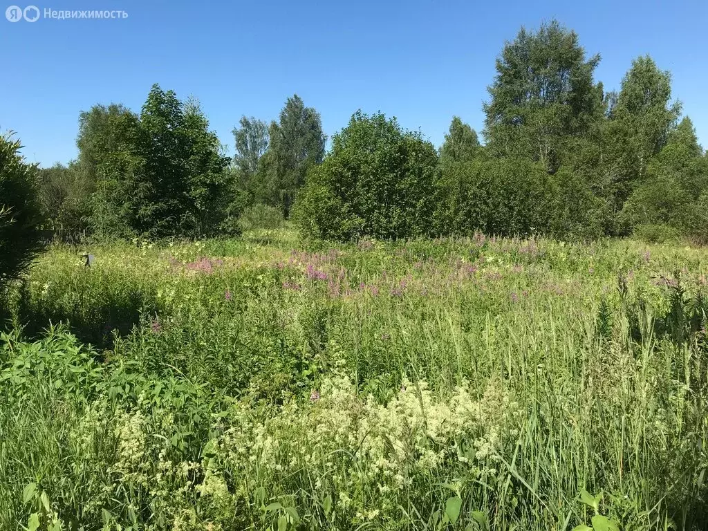 Участок в Новгородская область, Маловишерское городское поселение, ... - Фото 1