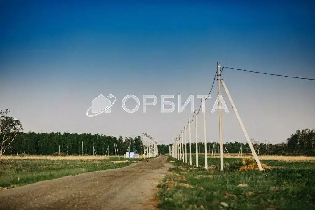 Участок в Тюменская область, Тюменский район, Дачи Хюгге ДНТ  (11.24 ... - Фото 2