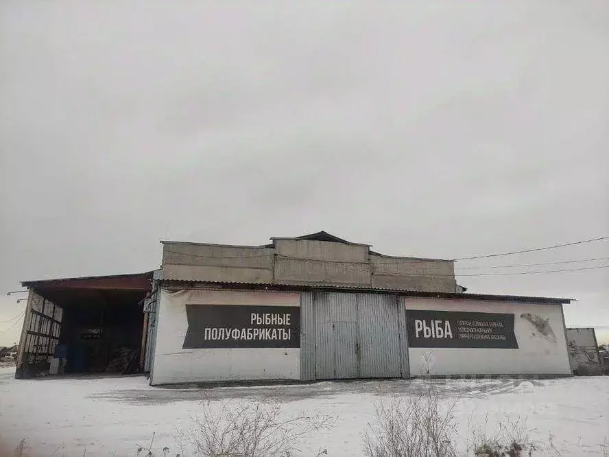 Склад в Бурятия, Кабанский район, с. Тресково  (1197 м) - Фото 2