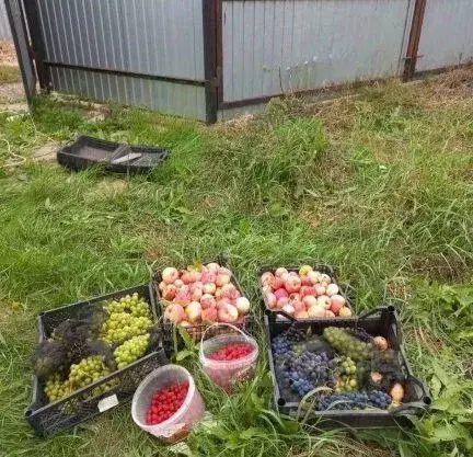Дом в Оренбургская область, Оренбургский район, Благословенский ... - Фото 2