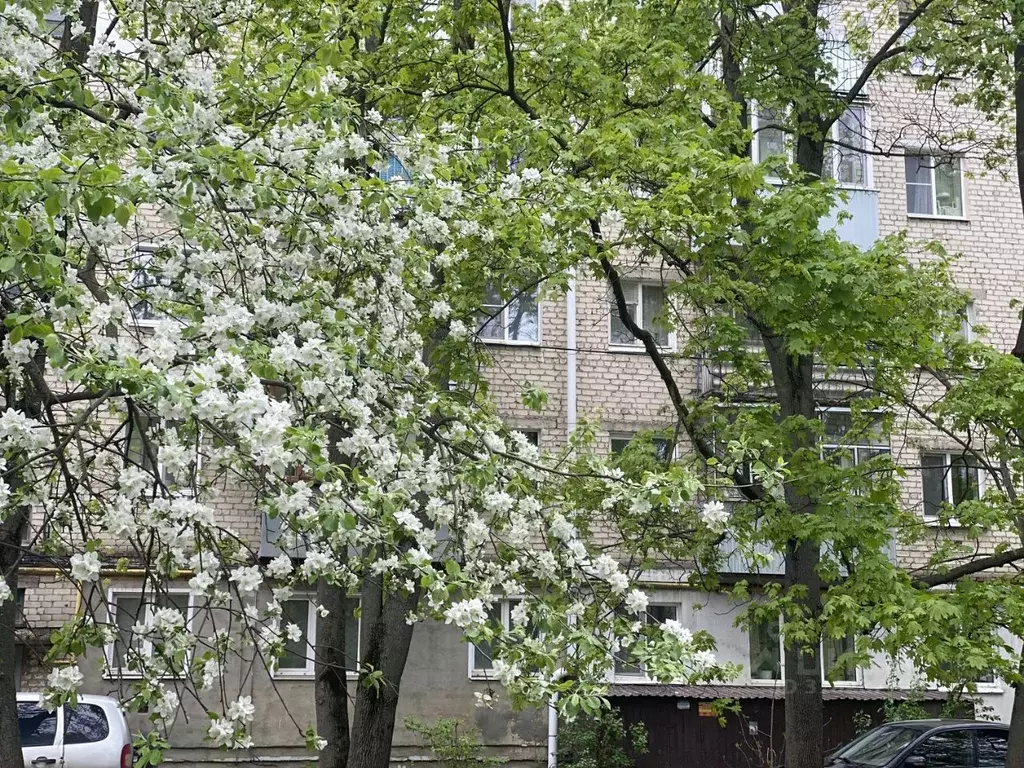 3-к кв. Пензенская область, Пенза ул. Луначарского, 38А (53.8 м) - Фото 0